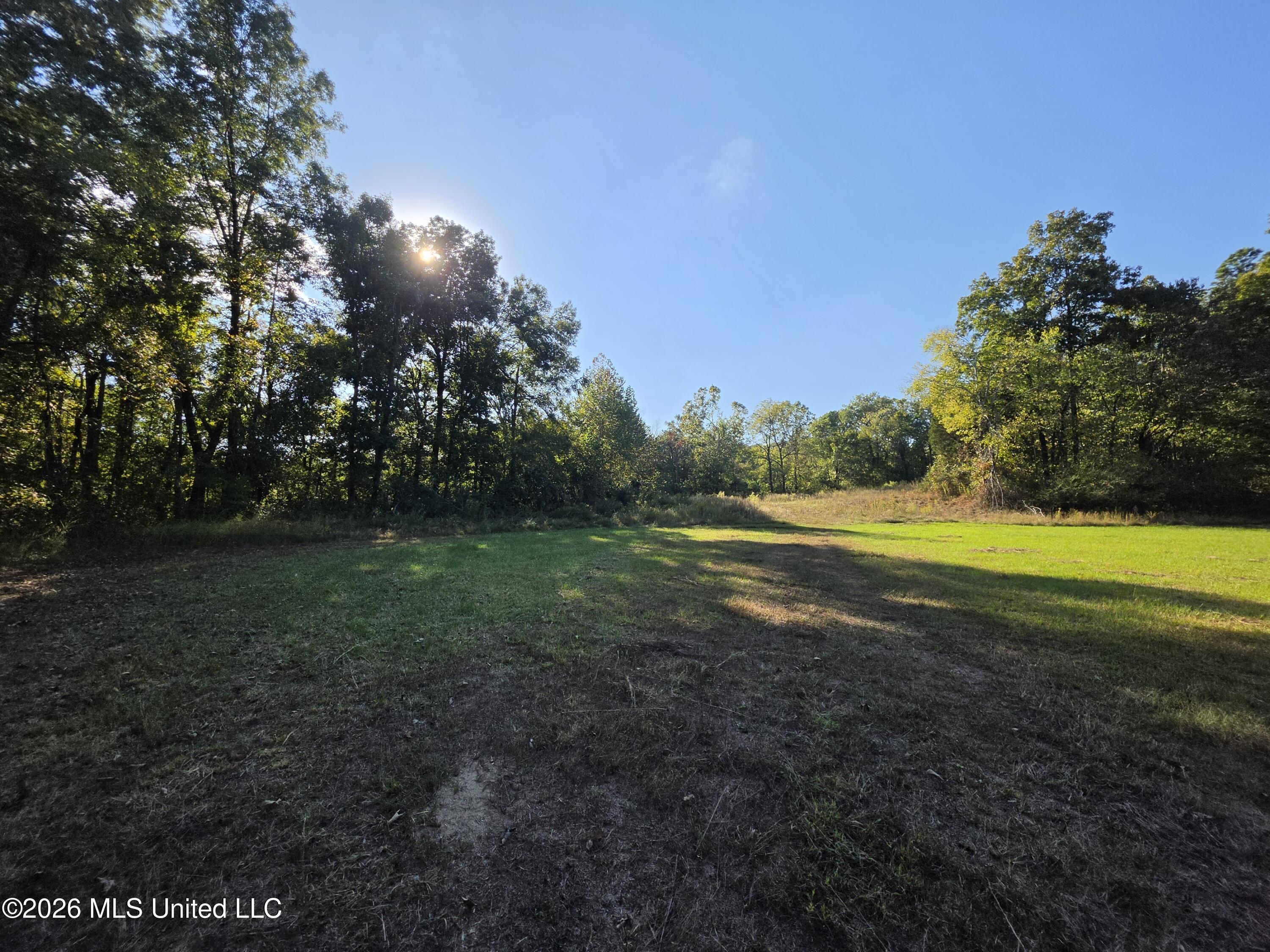 Old Hwy 7 Property Photo 11