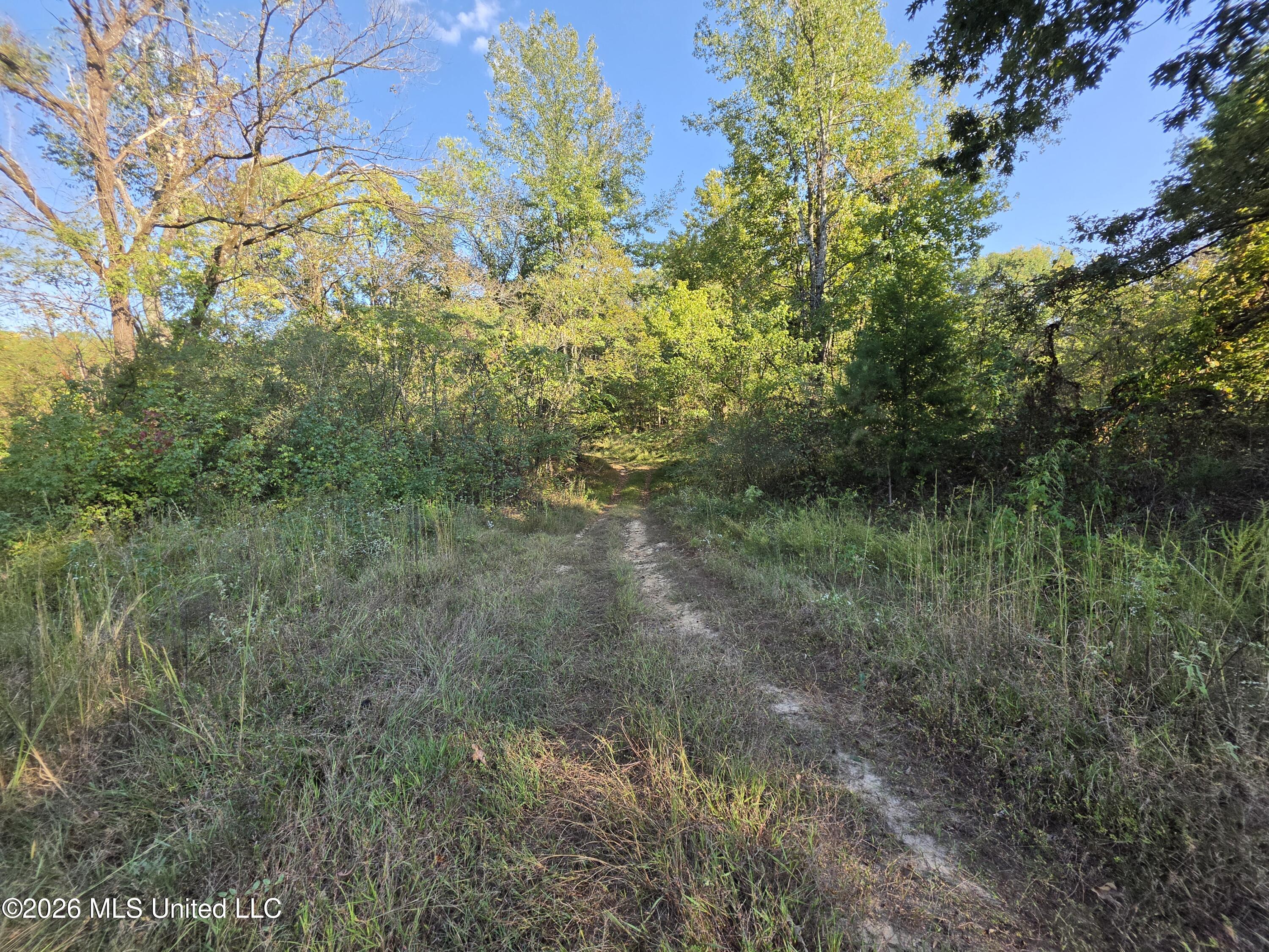 Old Hwy 7 Property Photo 12