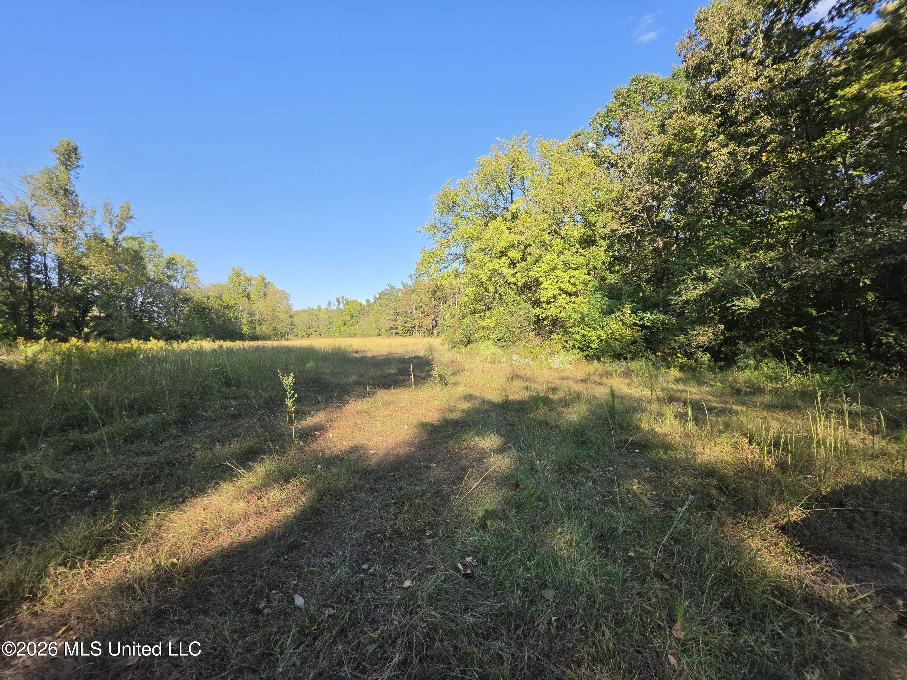 Old Hwy 7 Property Photo 13