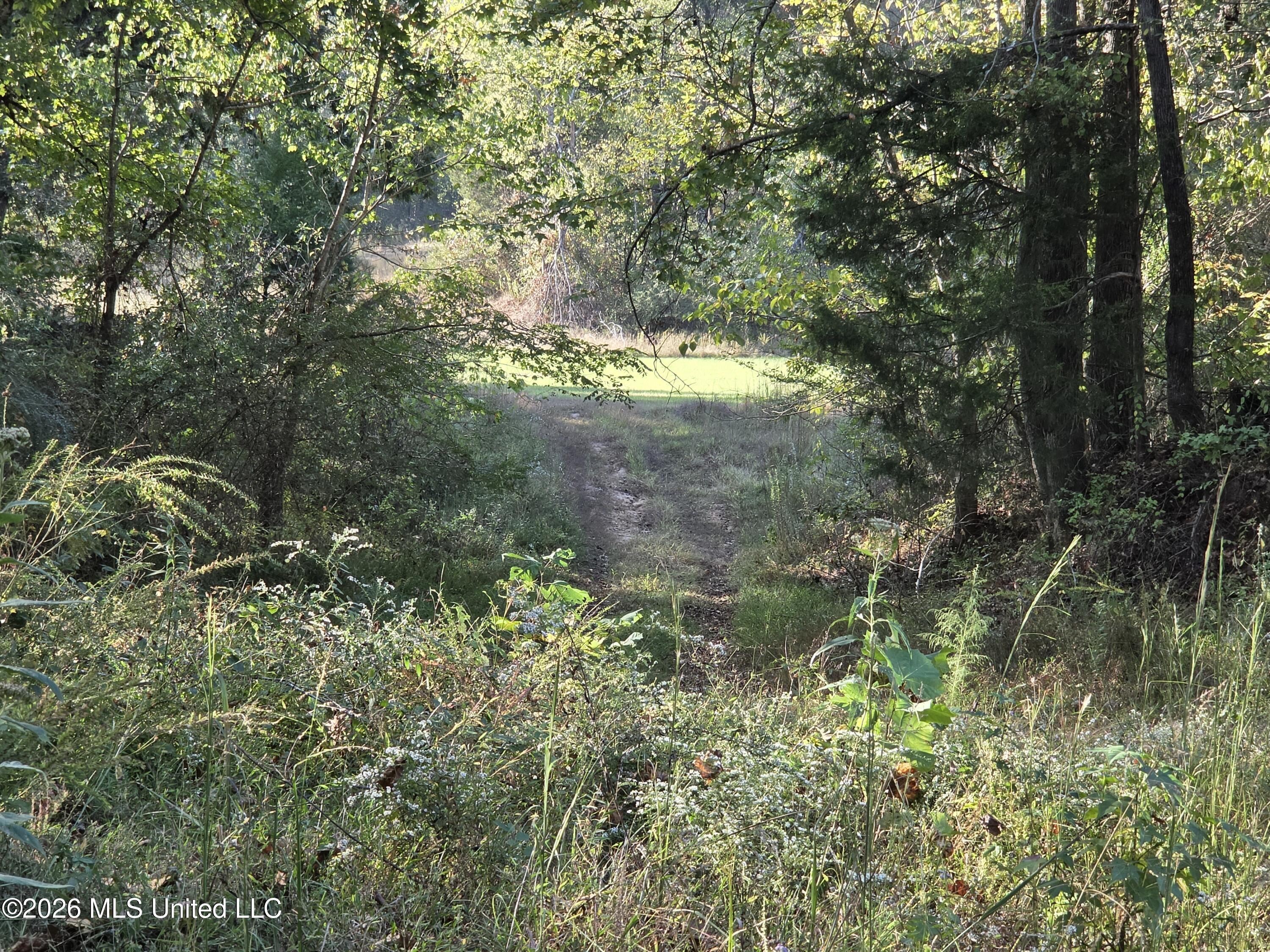 Old Hwy 7 Property Photo 15