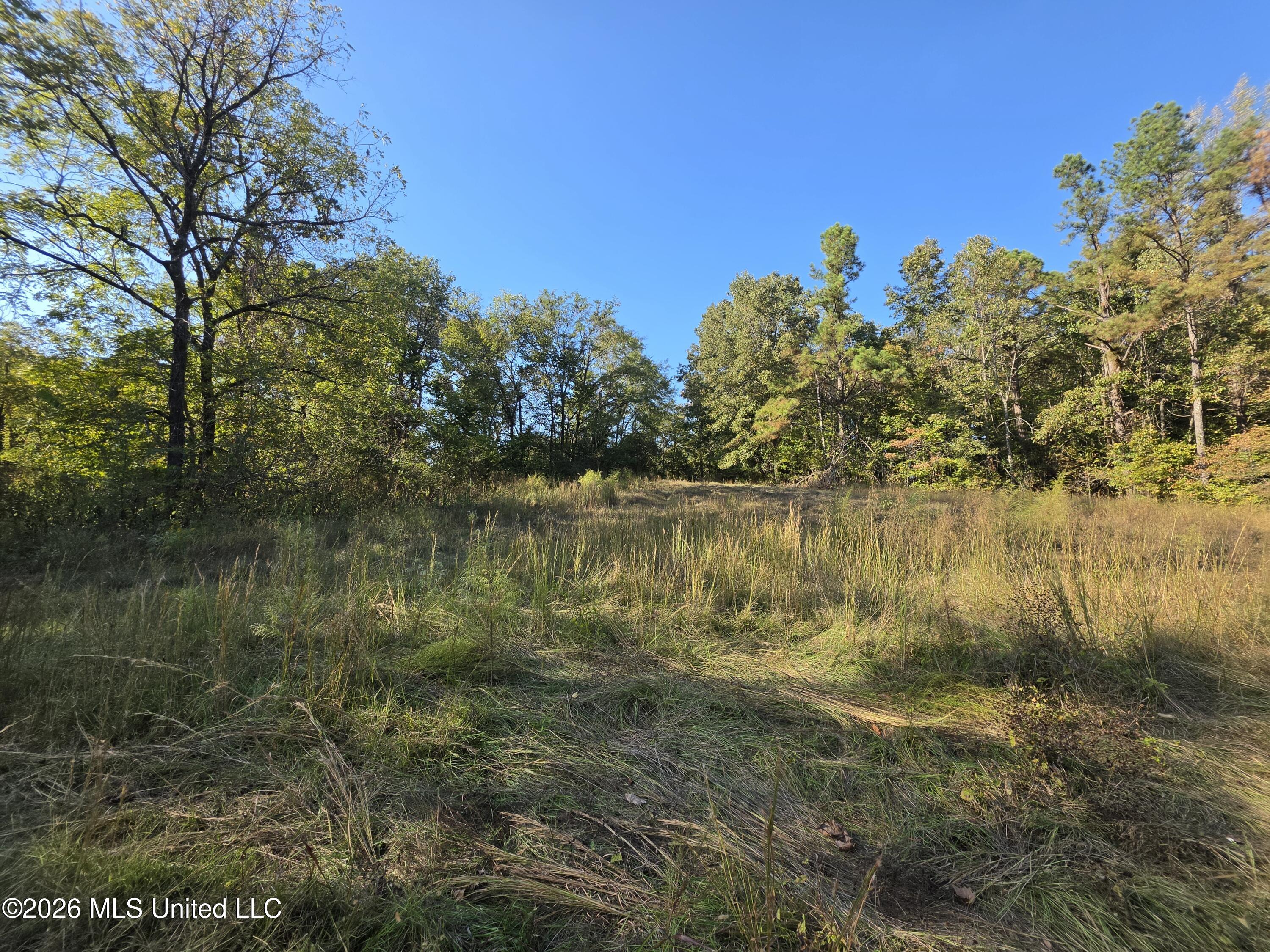 Old Hwy 7 Property Photo 17