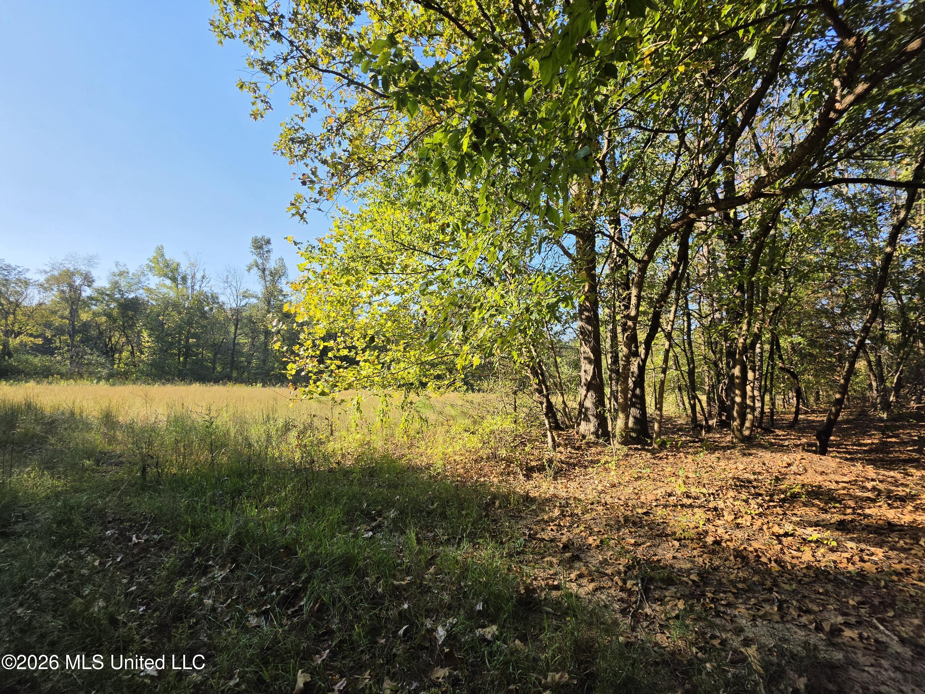 Old Hwy 7 Property Photo 18