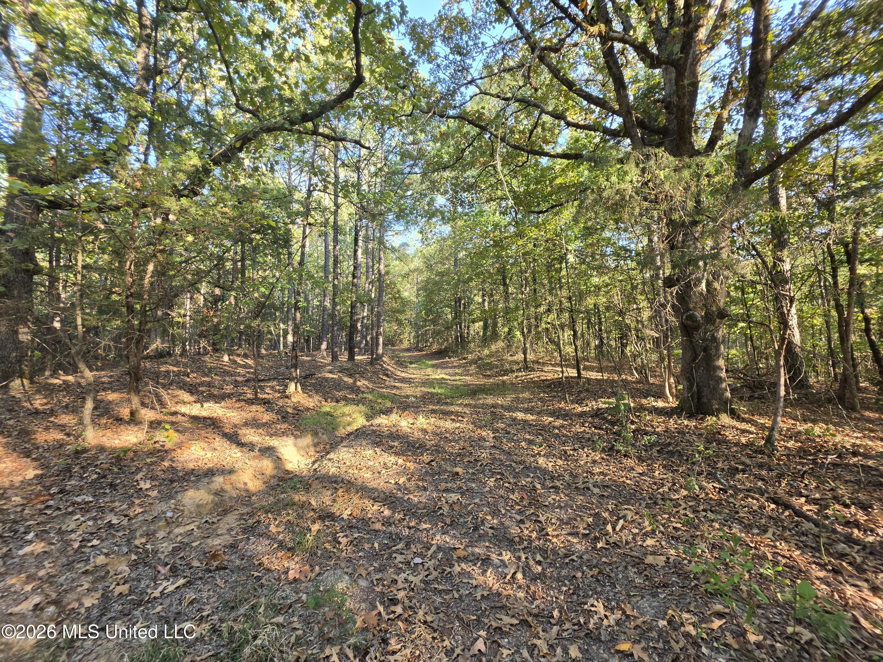 Old Hwy 7 Property Photo 19