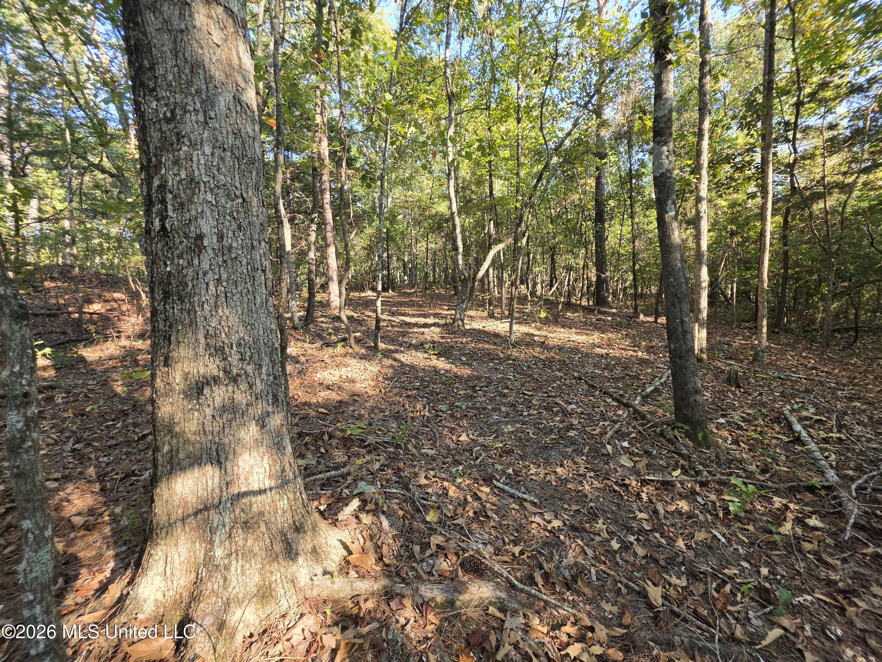 Old Hwy 7 Property Photo 20