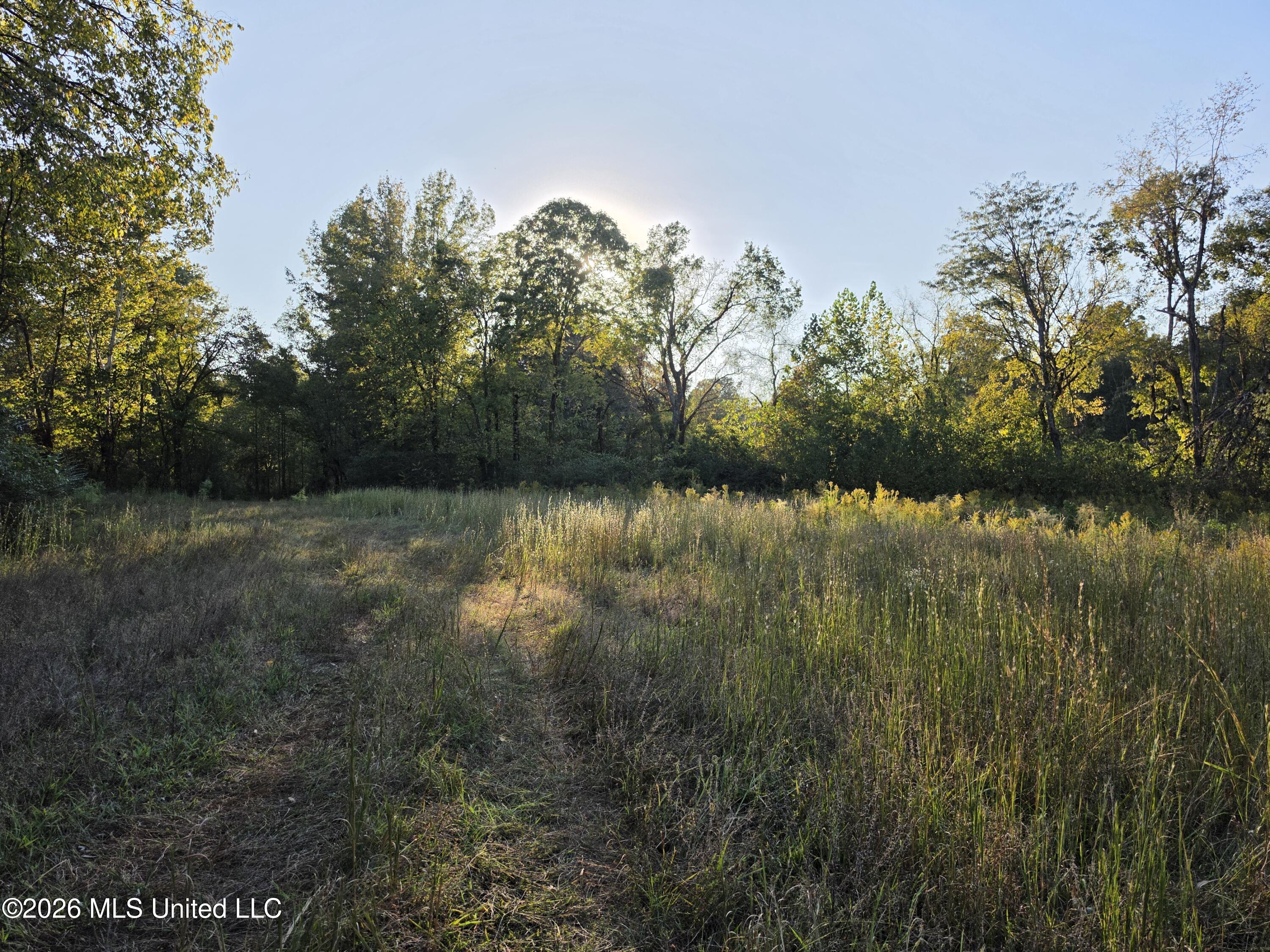 Old Hwy 7 Property Photo 25
