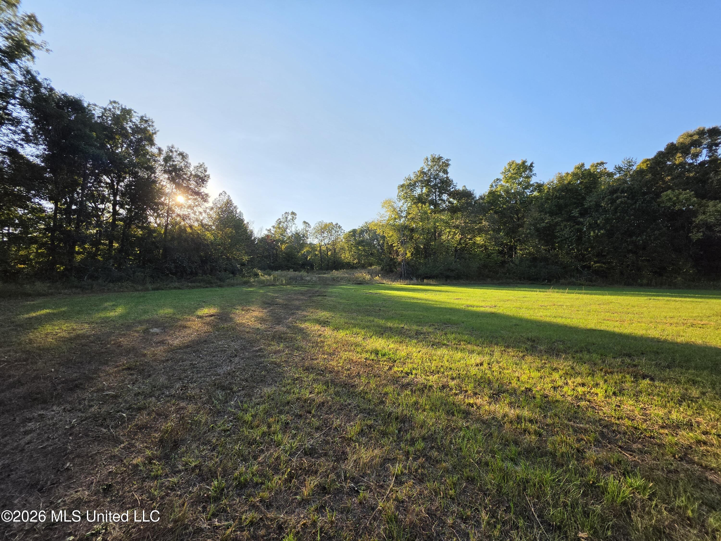 Old Hwy 7 Property Photo 27