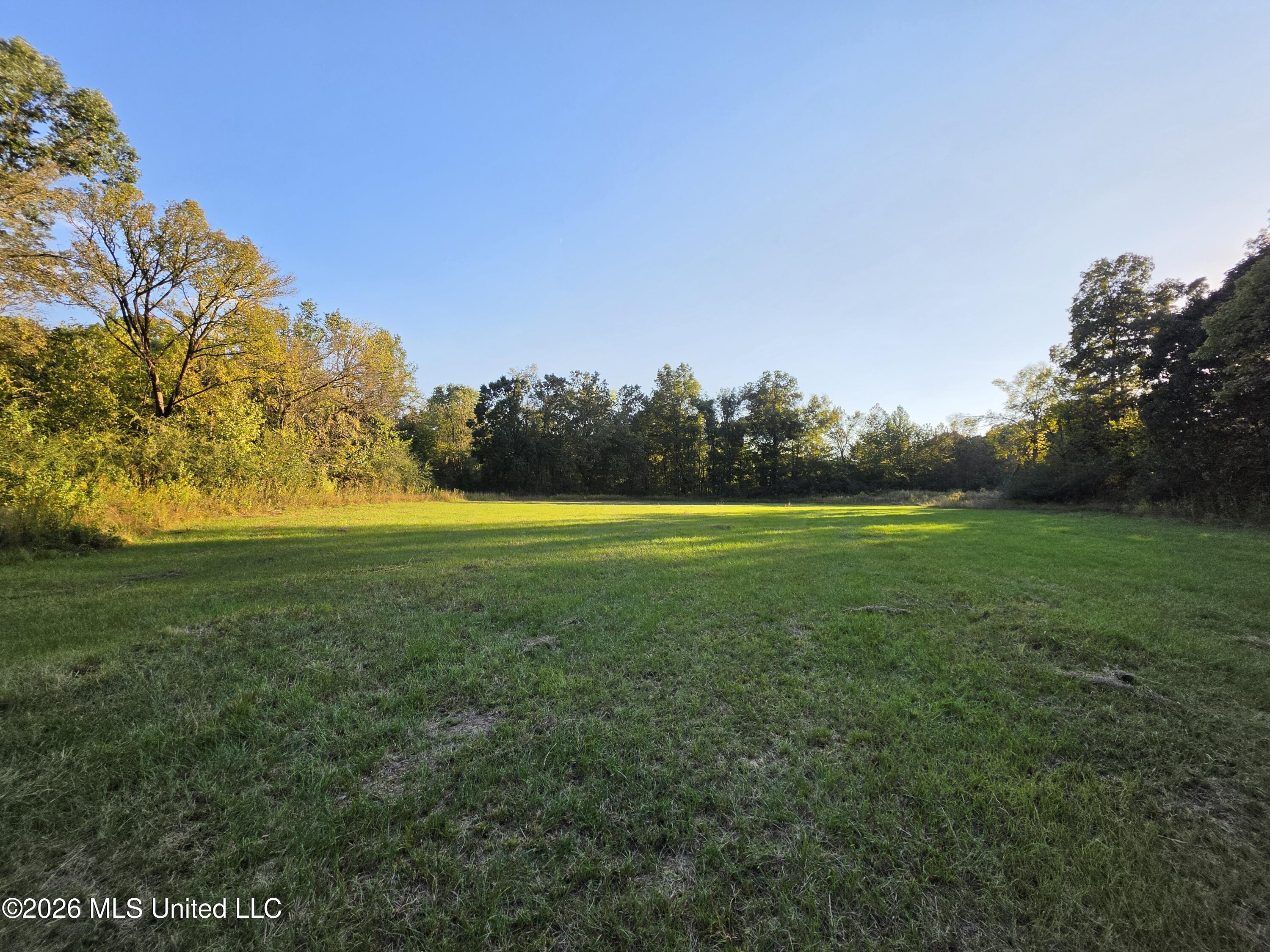 Old Hwy 7 Property Photo 28