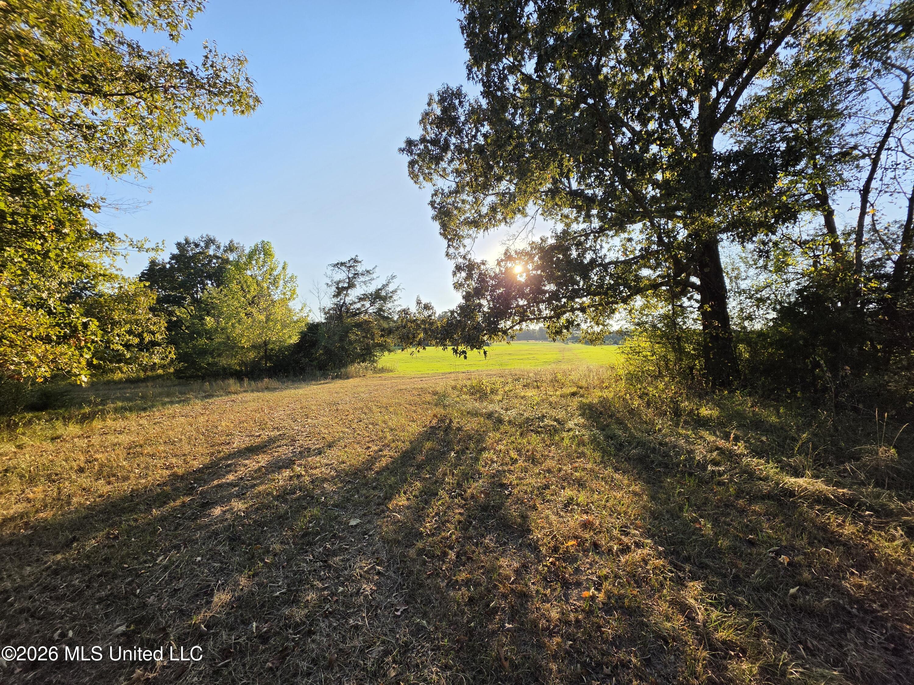 Old Hwy 7 Property Photo 29