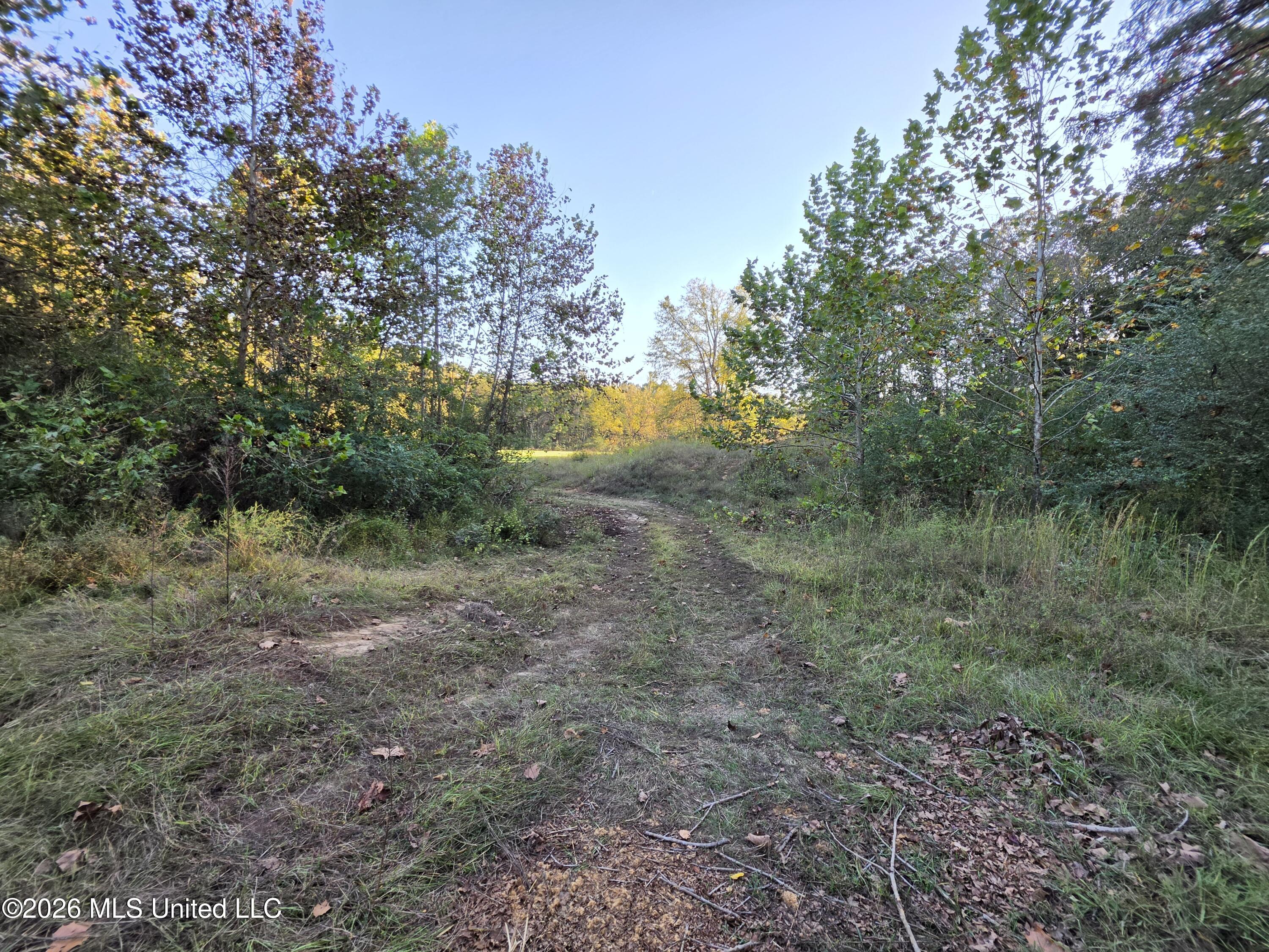 Old Hwy 7 Property Photo 30
