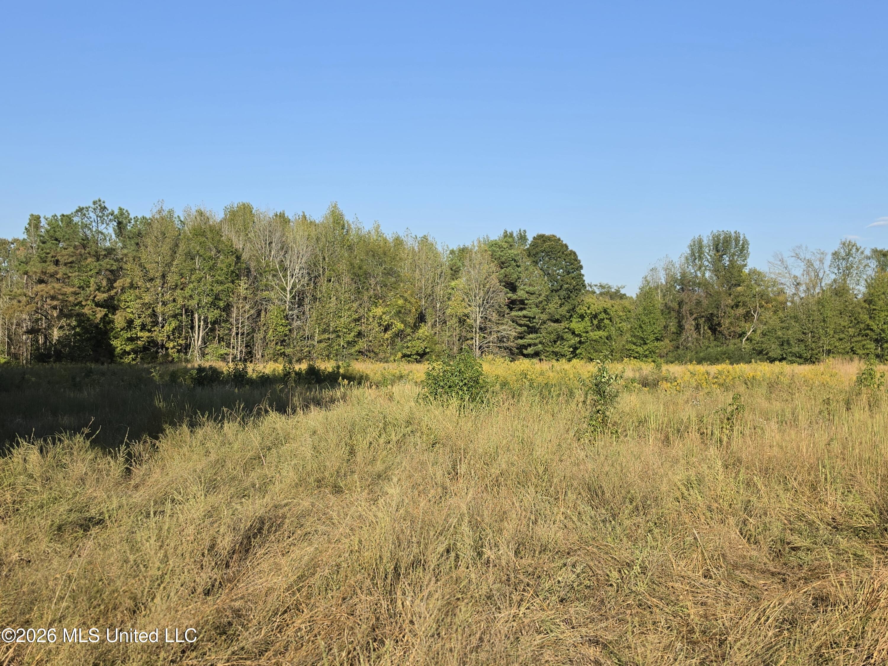 Old Hwy 7 Property Photo 32