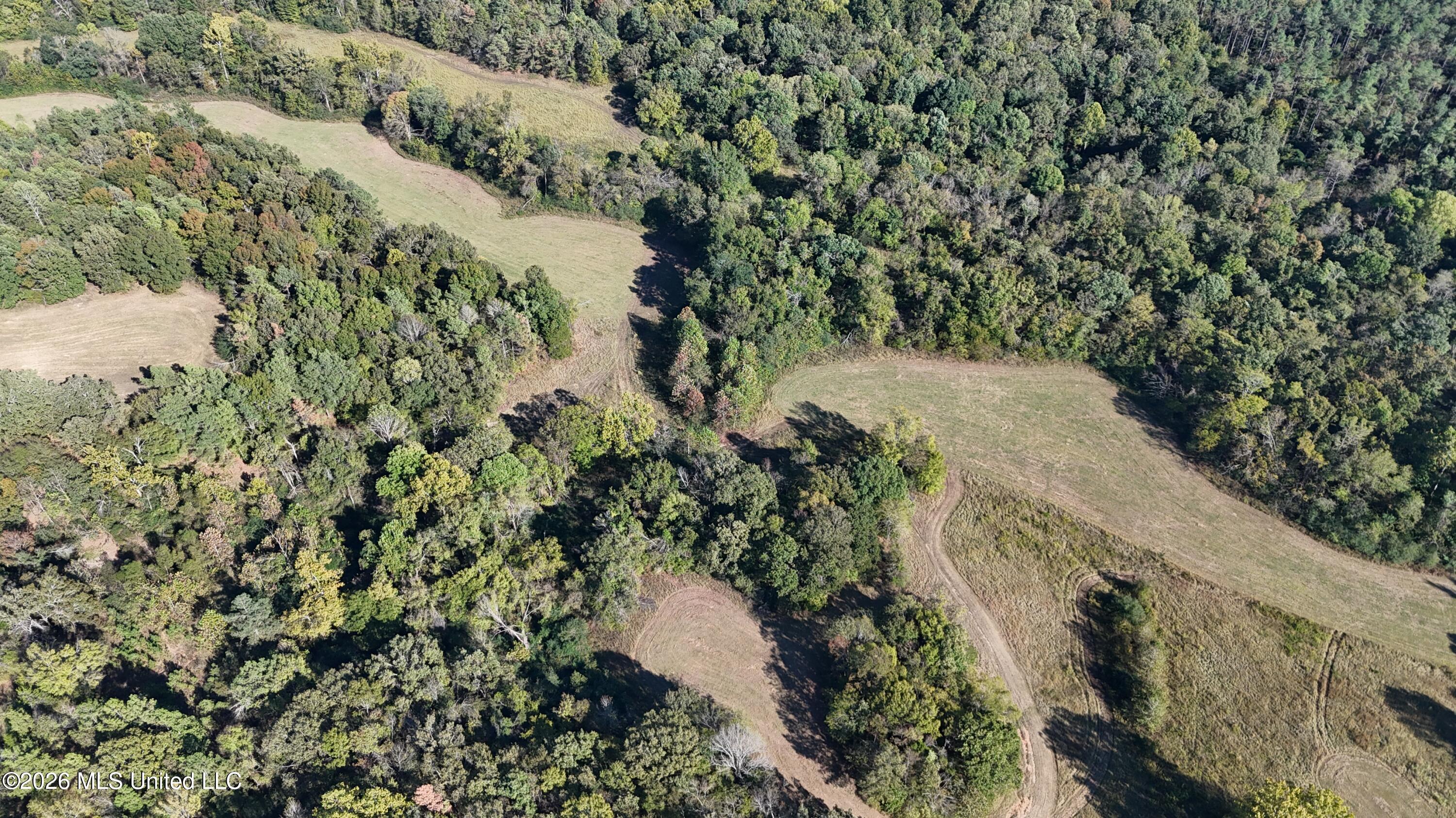 Old Hwy 7 Property Photo 36