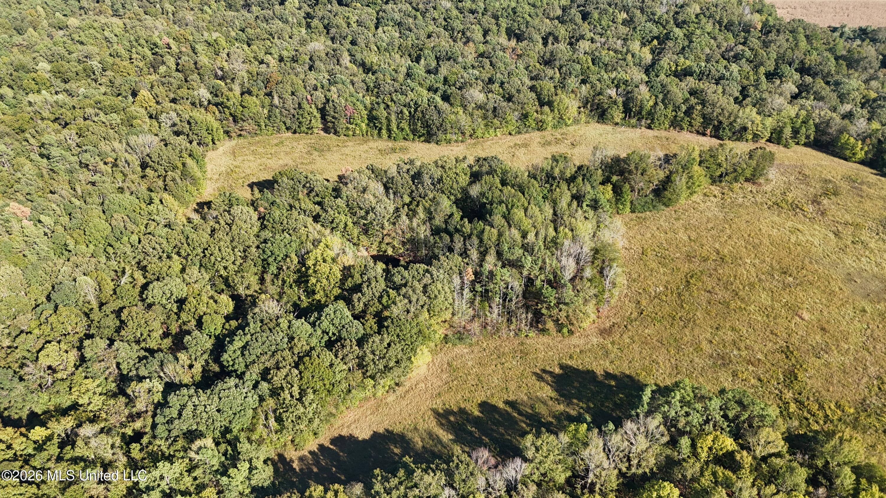 Old Hwy 7 Property Photo 37