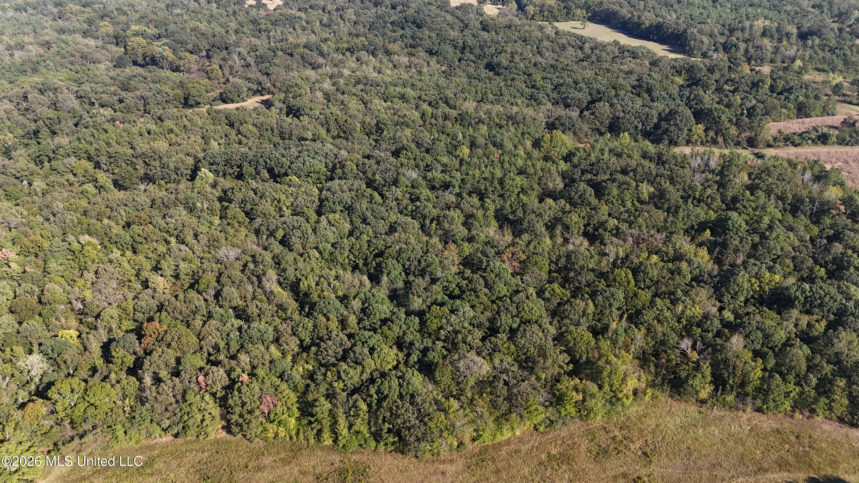 Old Hwy 7 Property Photo 39
