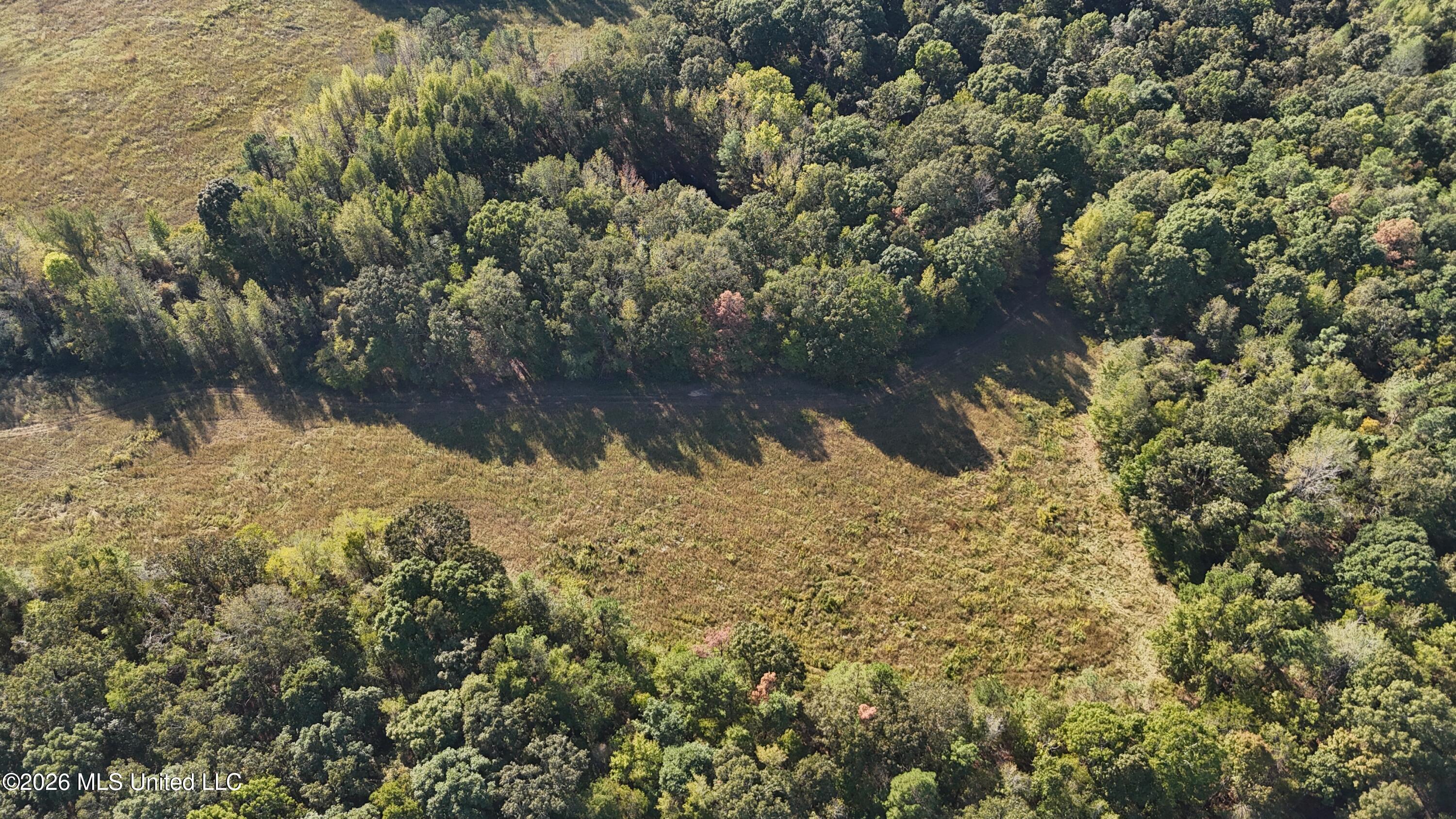 Old Hwy 7 Property Photo 42