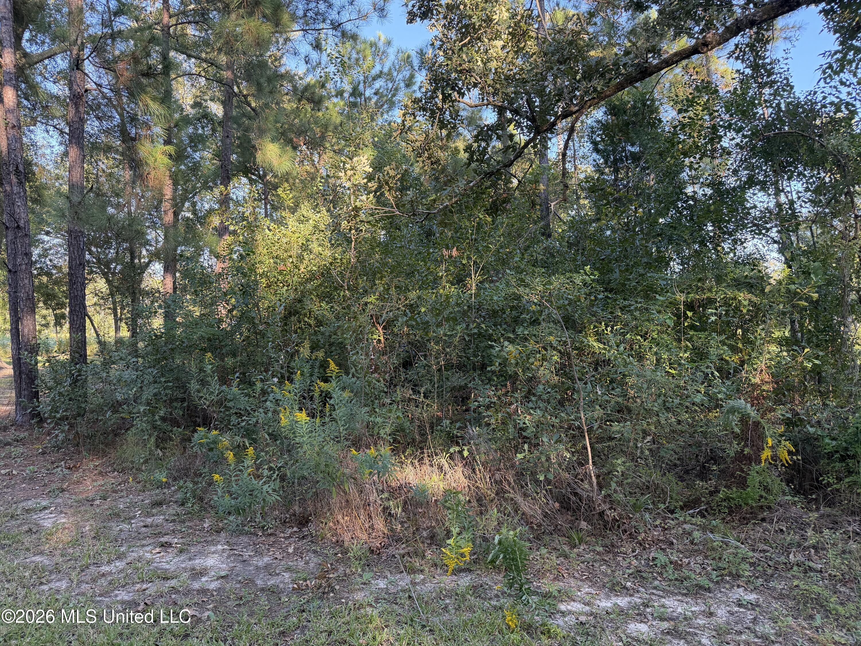 7078 Road 132 Property Photo 2