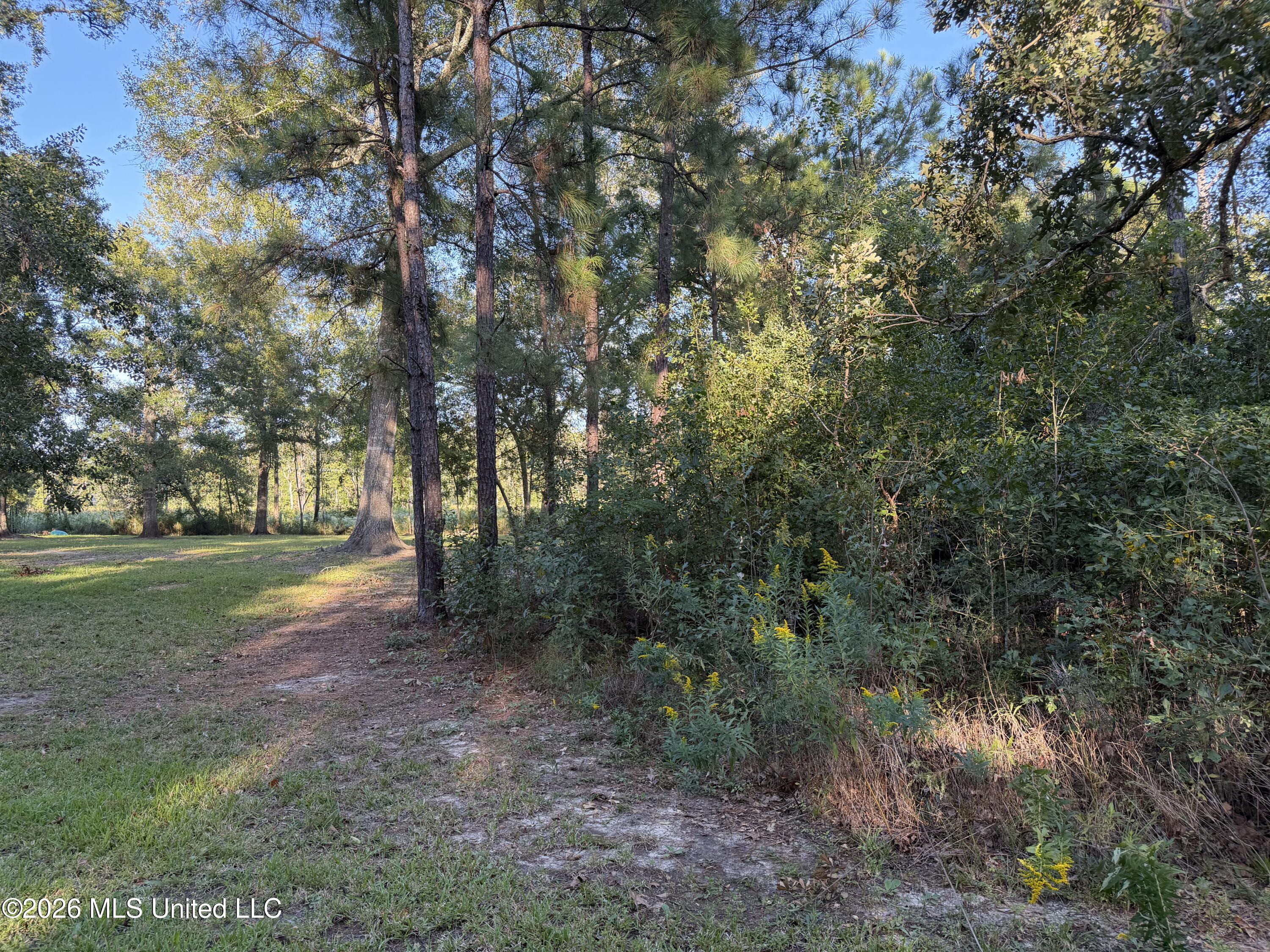 7078 Road 132 Property Photo 3