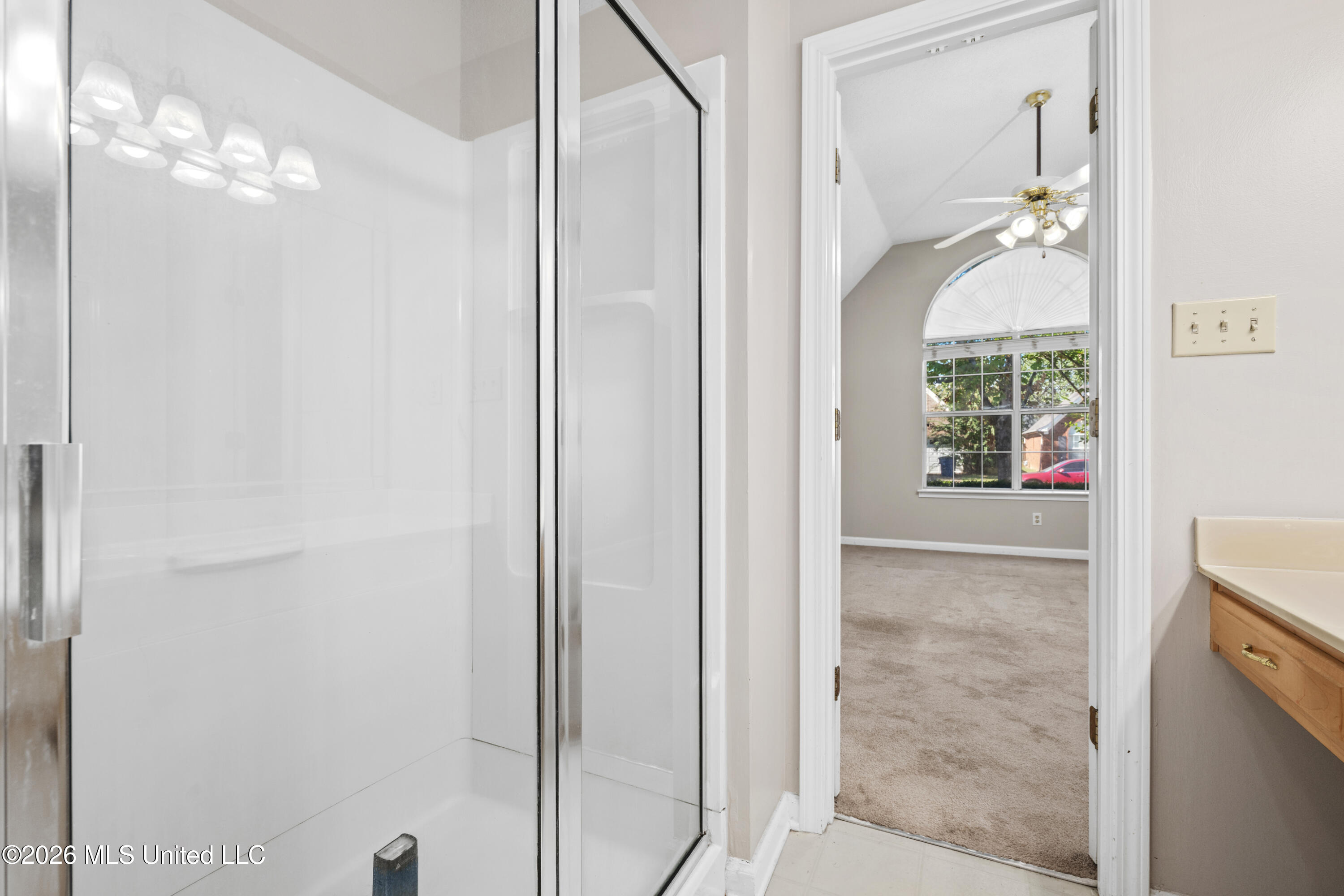 8224 Clubview Drive Property Photo 25