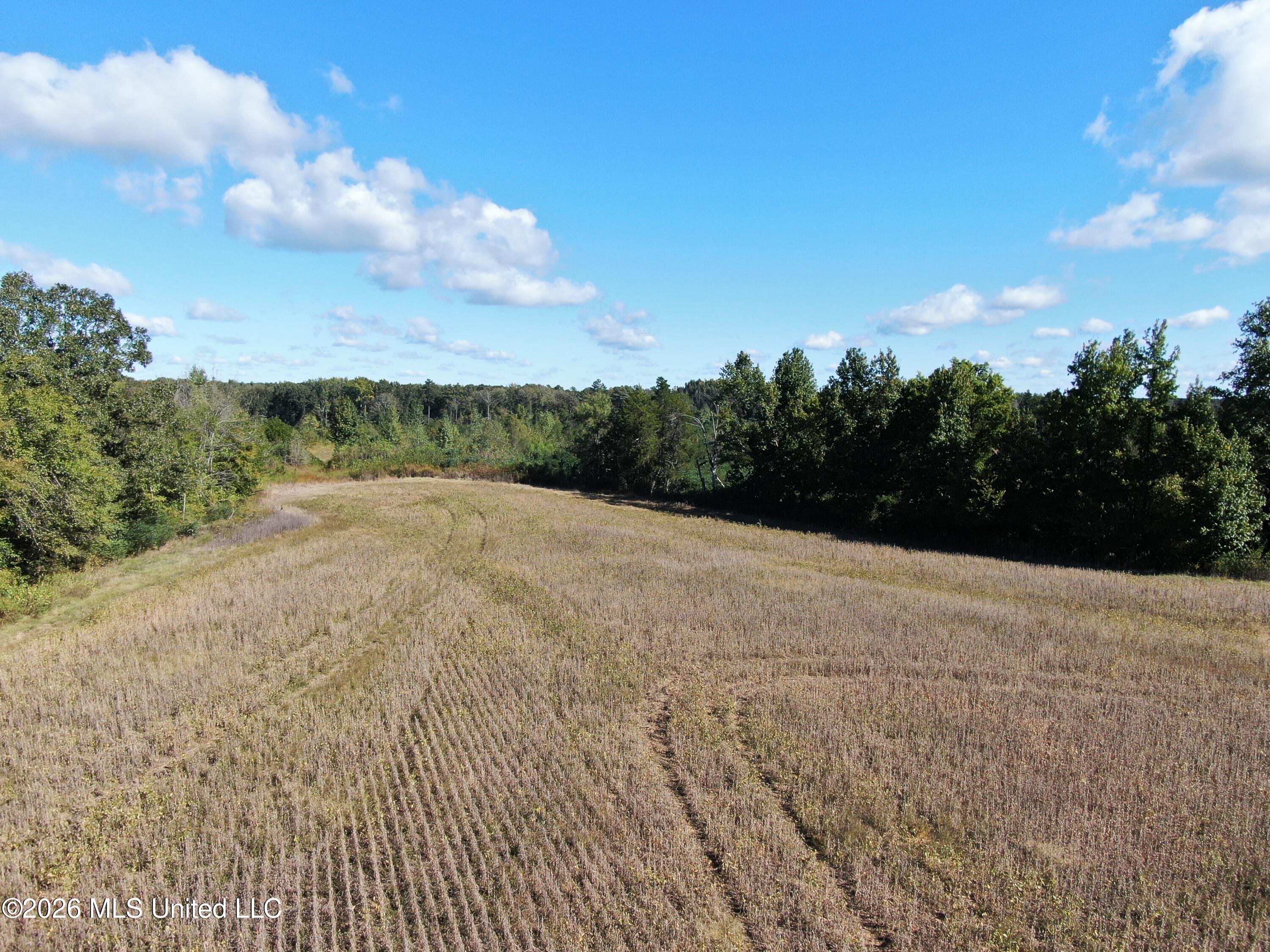 8 Enoch Property Photo 14