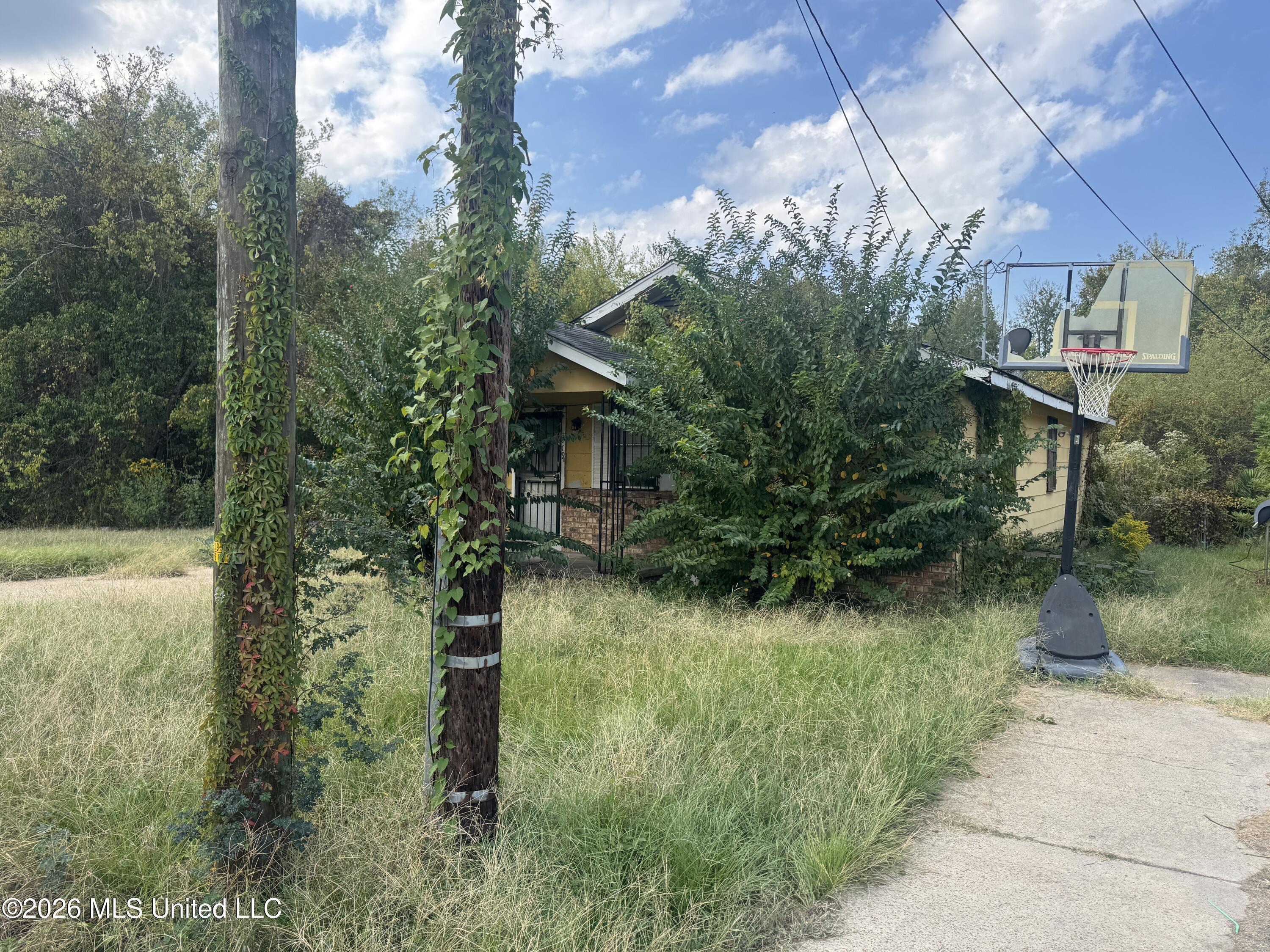 1709 Congo Street Property Photo 1