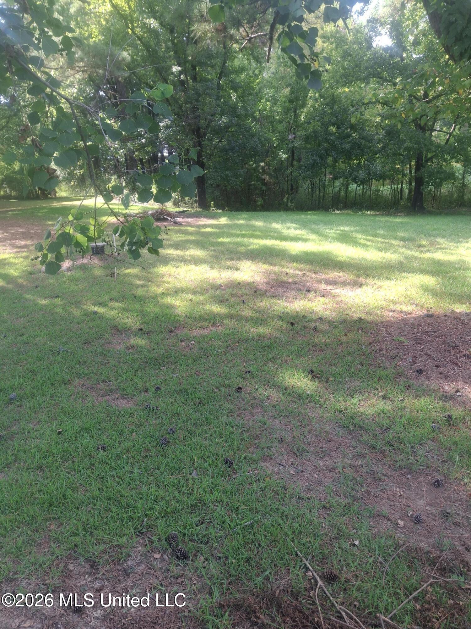 146 Floyd Street Property Photo 11