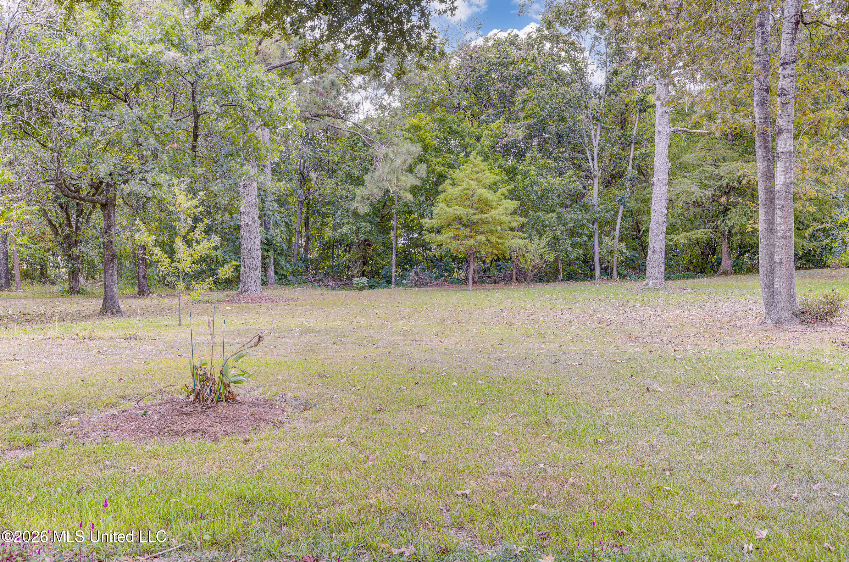 10 Jill Marie Circle Circle Property Photo 50