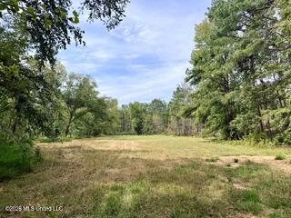 74 Highway 310 Property Photo 1