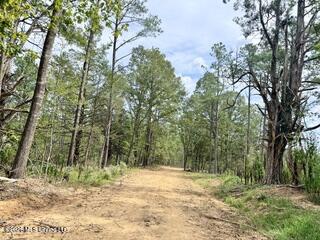 74 Highway 310 Property Photo 2