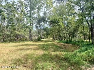 74 Highway 310 Property Photo 3