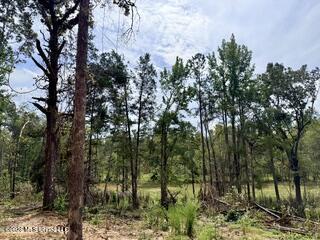 74 Highway 310 Property Photo 4