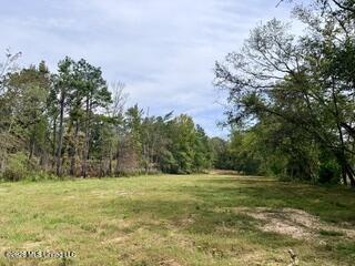 74 Highway 310 Property Photo 5