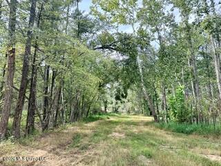 74 Highway 310 Property Photo 6