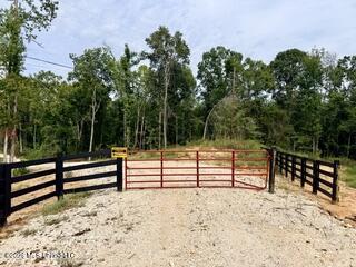 74 Highway 310 Property Photo 8