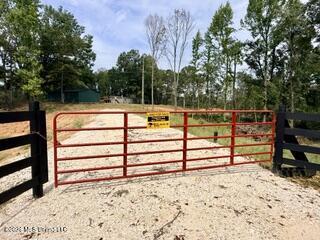 74 Highway 310 Property Photo 9
