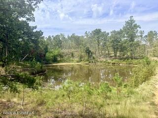 74 Highway 310 Property Photo 11