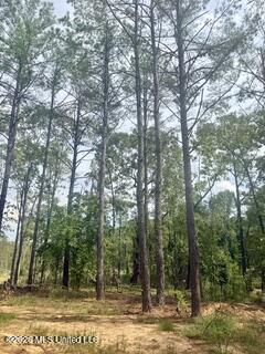 74 Highway 310 Property Photo 12