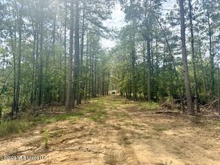 74 Highway 310 Property Photo 13