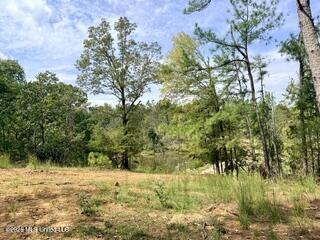 74 Highway 310 Property Photo 14