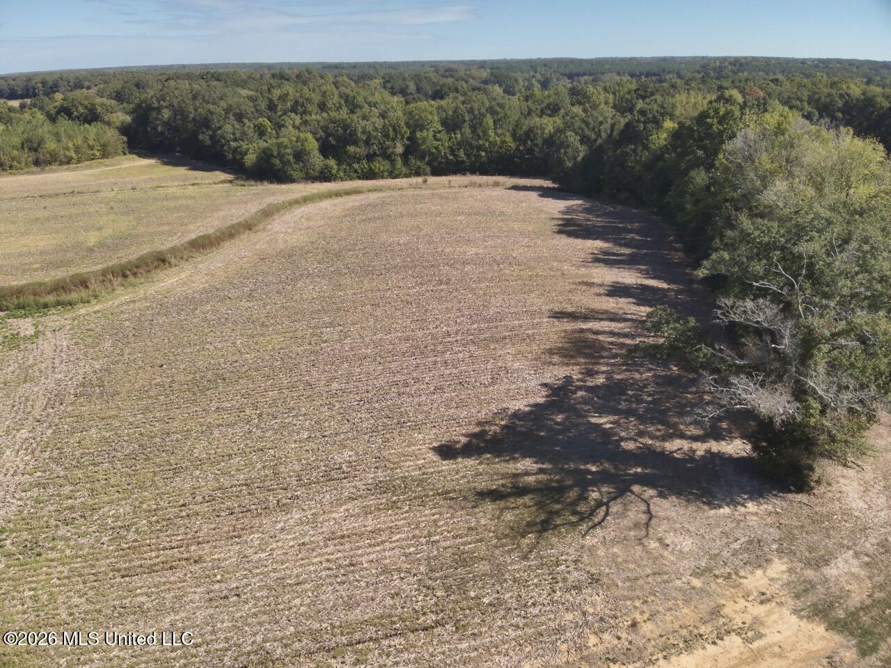 1648 Linwood Road Property Photo 11