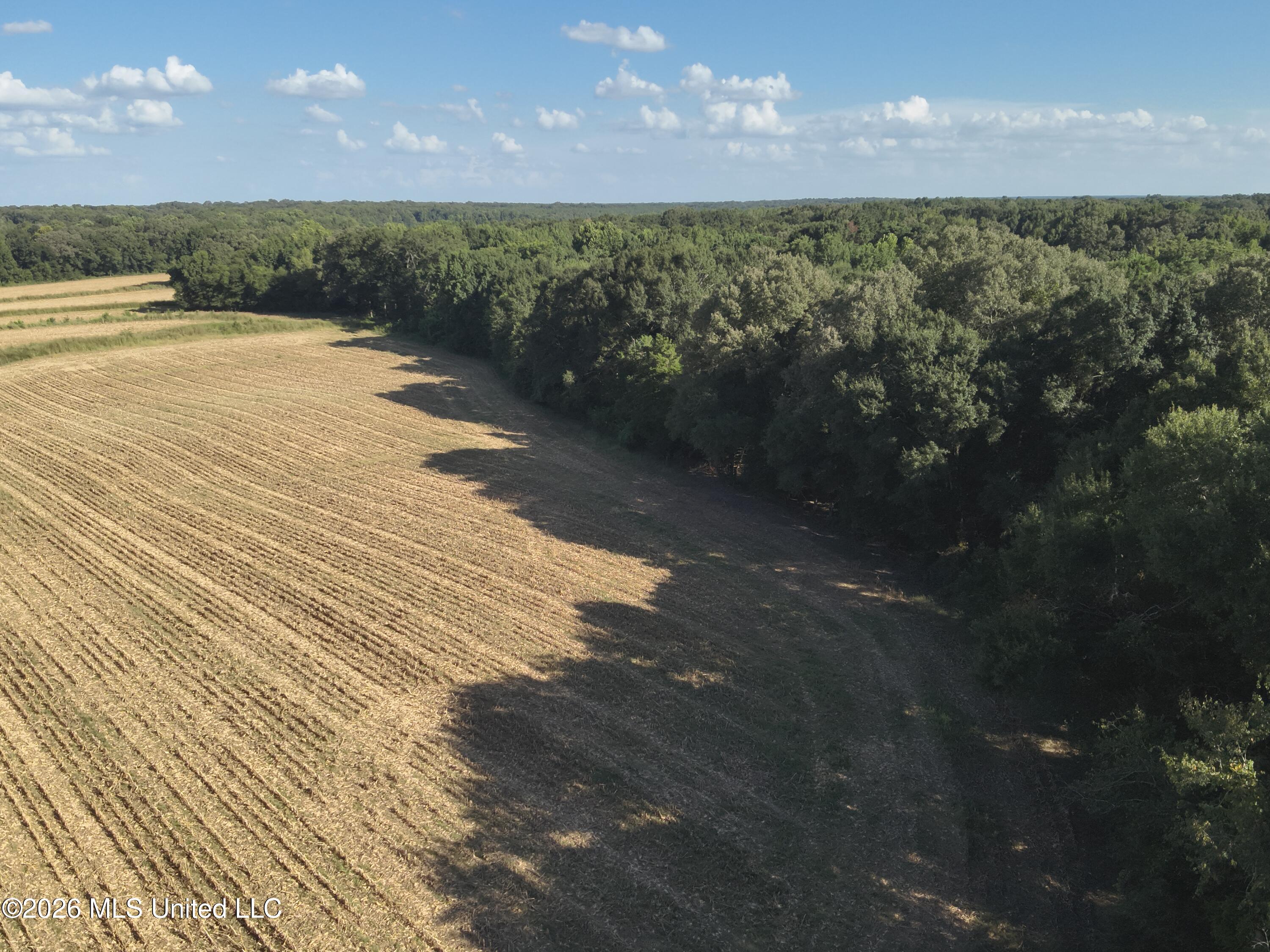 1648 Linwood Road Property Photo 13