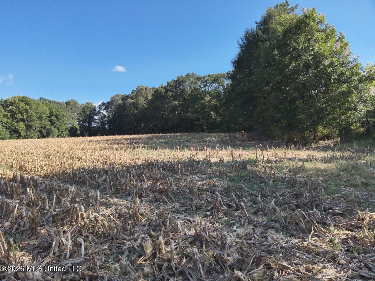1648 Linwood Road Property Photo 14