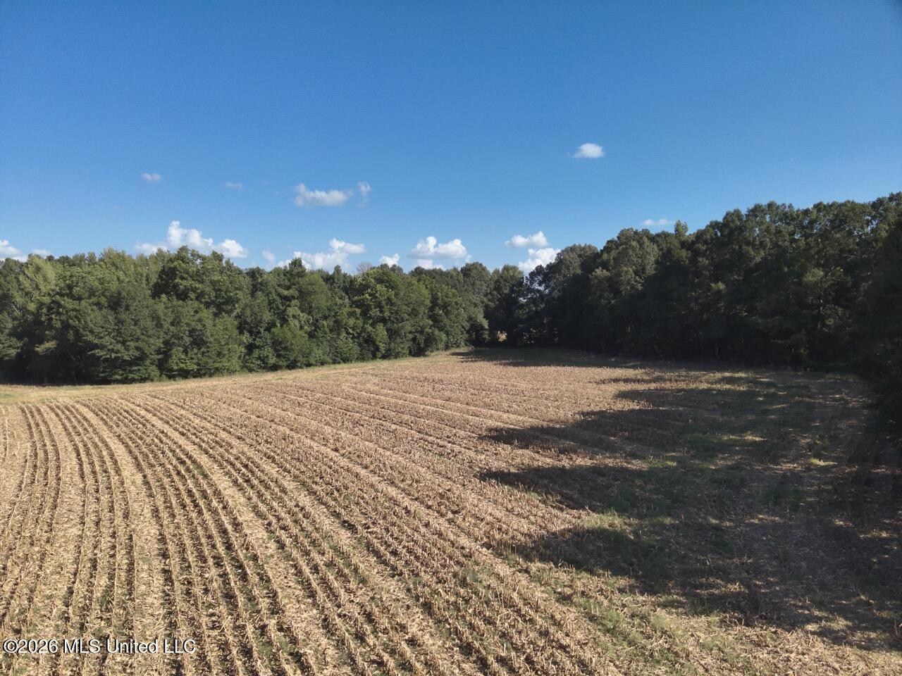 1648 Linwood Road Property Photo 16