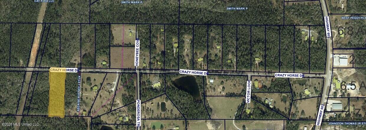 Crazy Horse Drive Property Photo 2
