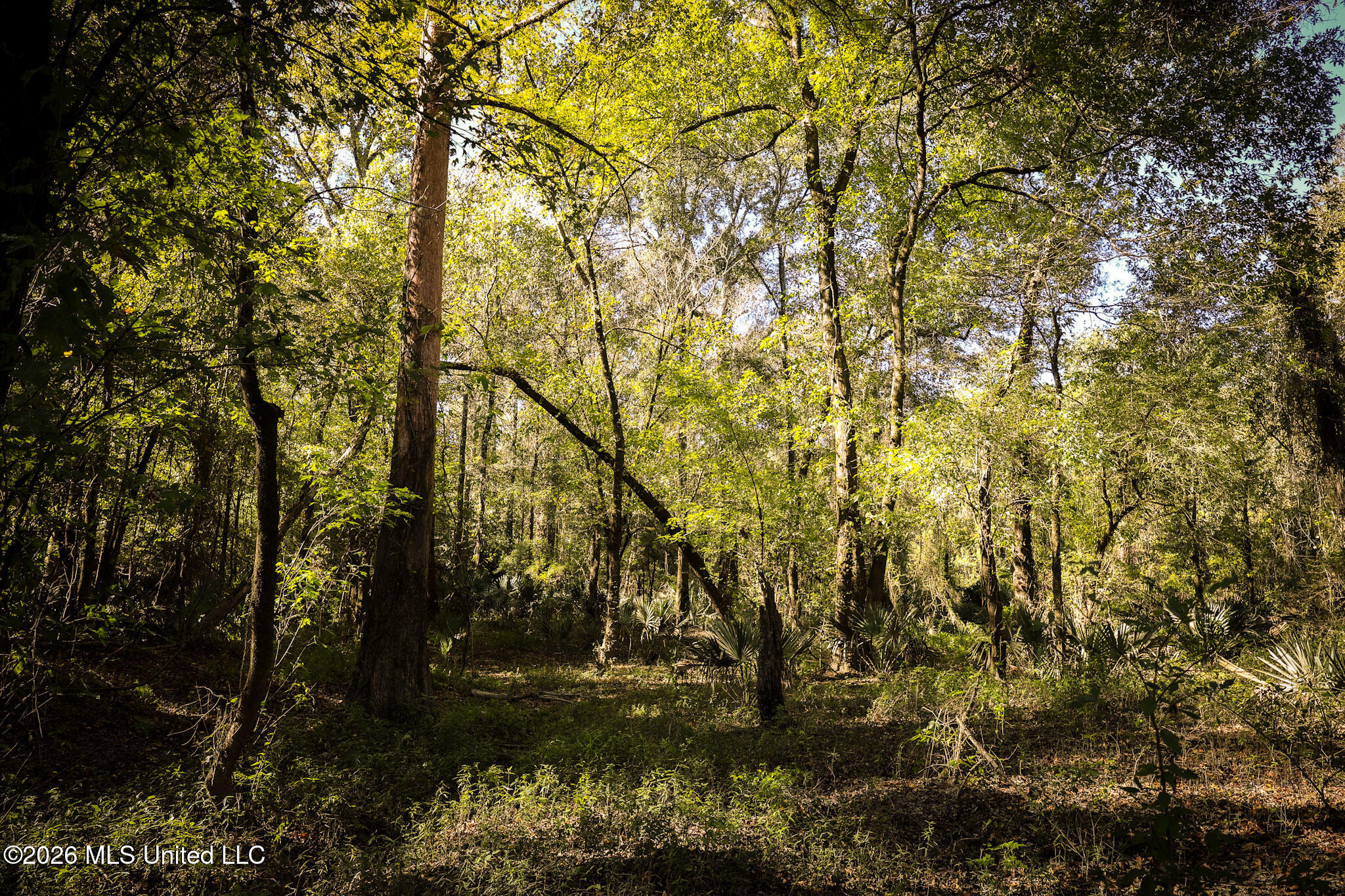 Sugar Farm Road Property Photo 3