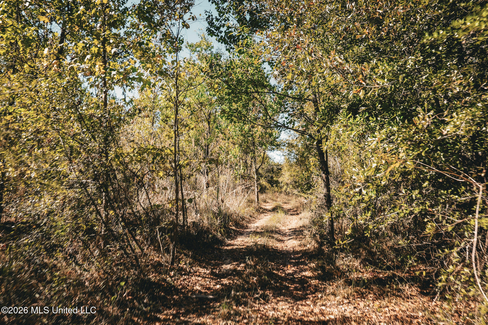 Sugar Farm Road Property Photo 6