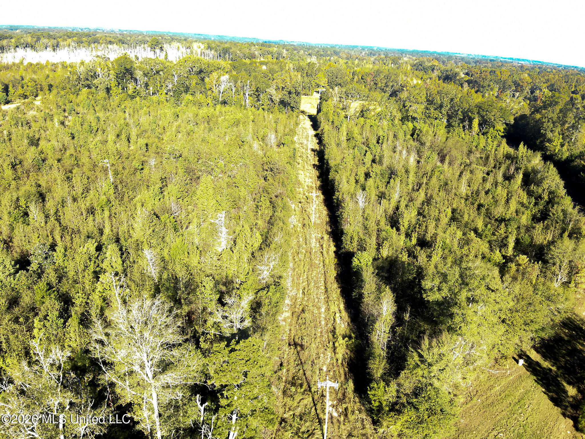 Sugar Farm Road Property Photo 12