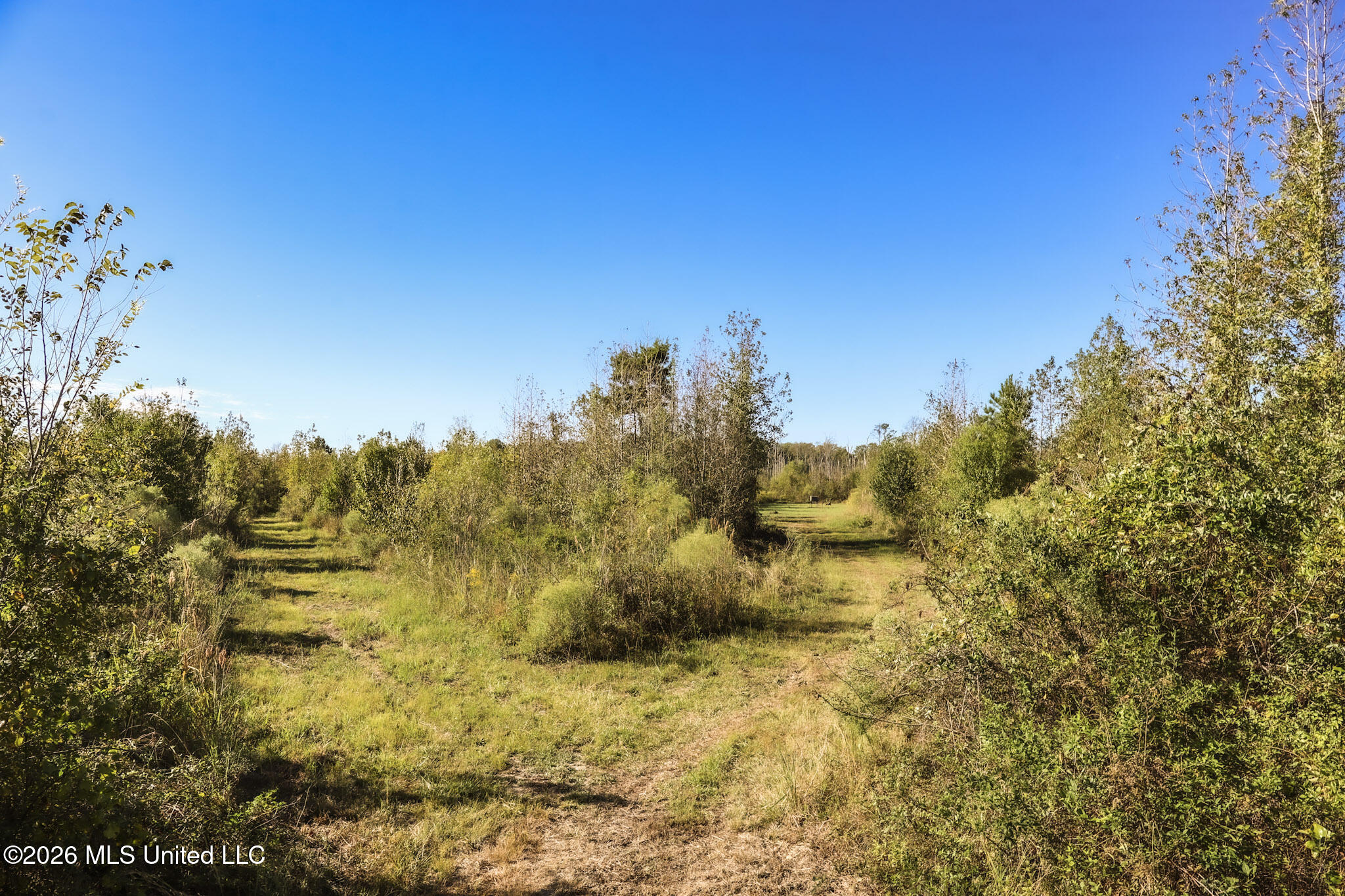 Sugar Farm Road Property Photo 13