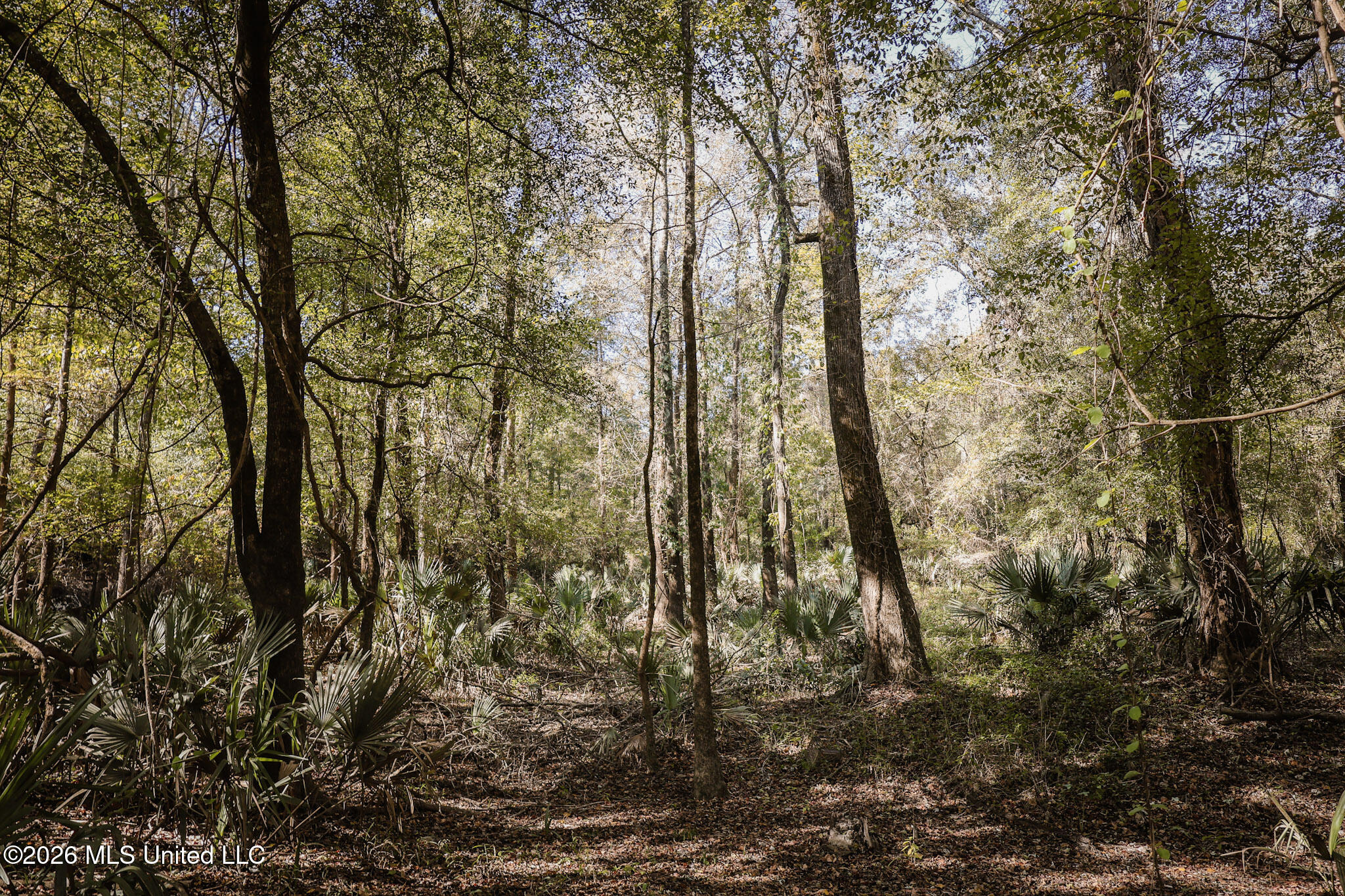 Sugar Farm Road Property Photo 14