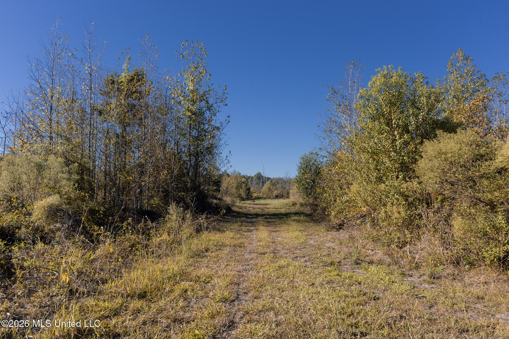 Sugar Farm Road Property Photo 16