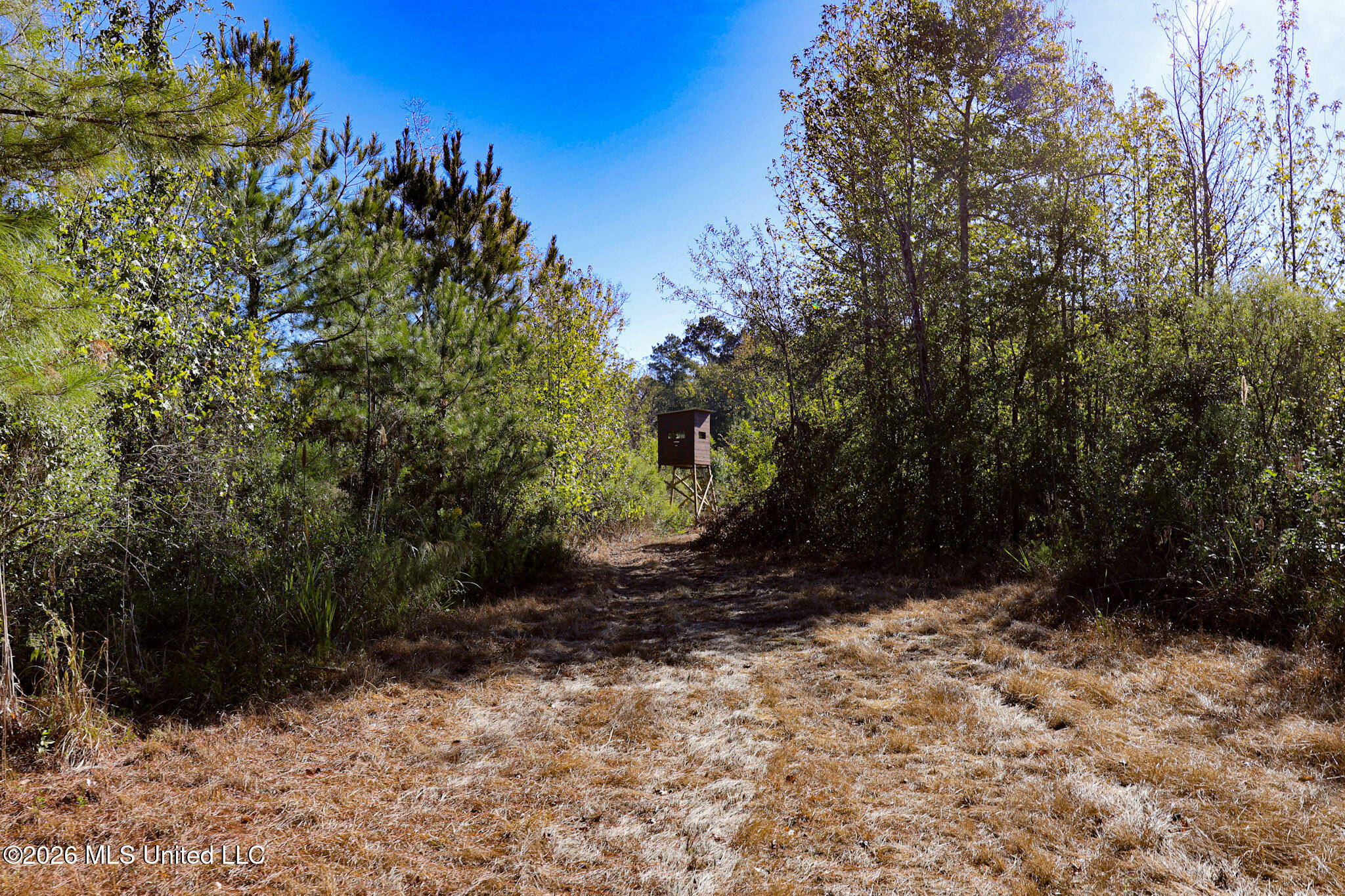 Sugar Farm Road Property Photo 17