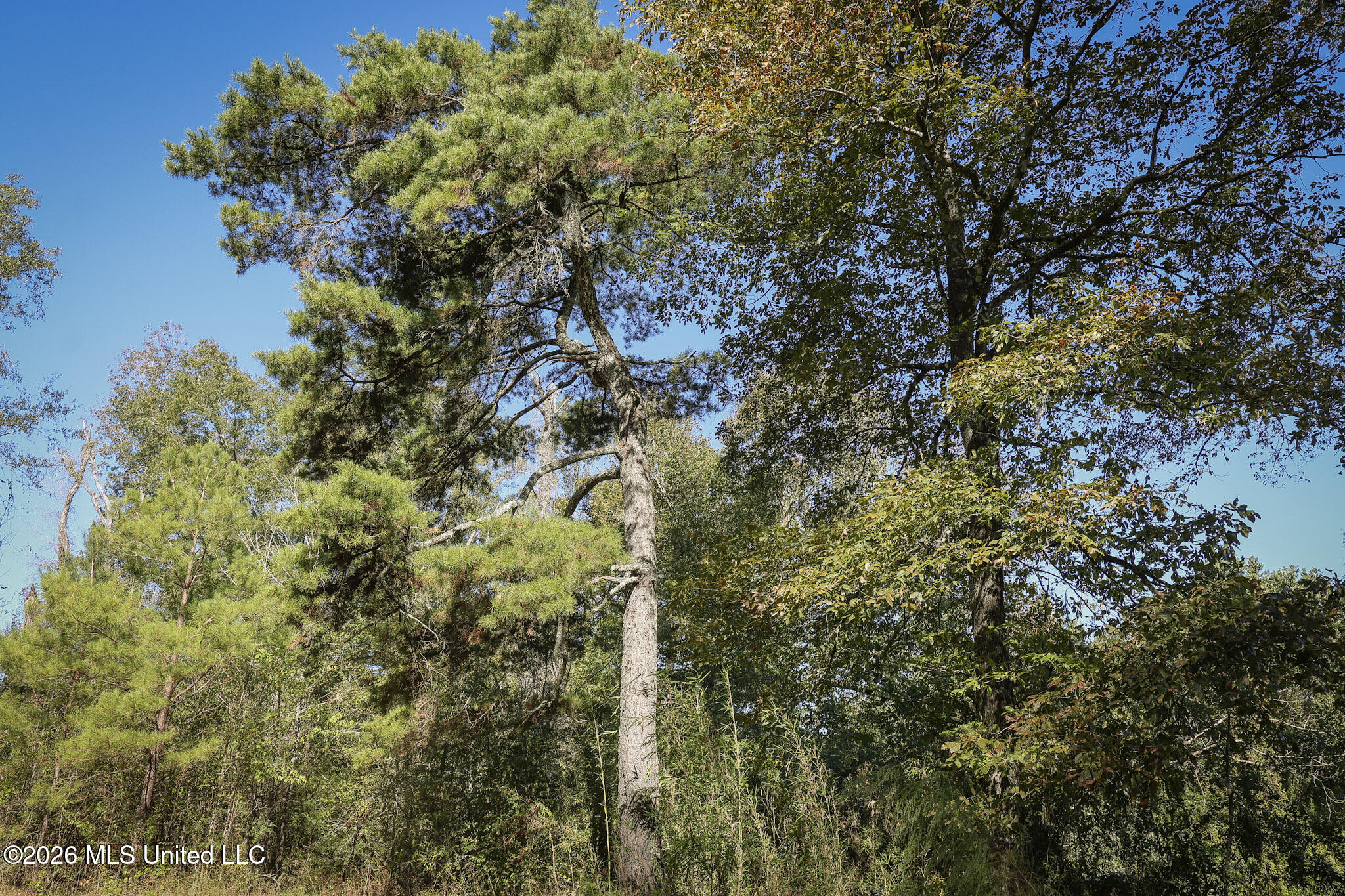 Sugar Farm Road Property Photo 19